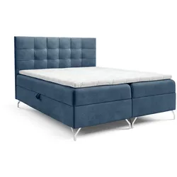 BOXBETT Candela Premium
