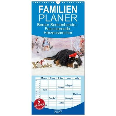 Familienplaner 2027 - Berner Sennenhunde - Faszinierende Herzensbrecher mit 5 Spalten (Wandkalender, 21 x 45 cm) CALVENDO