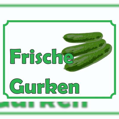 HB-Druck Frische Gurken Verkaufsschild Schild A1 (594x841mm)