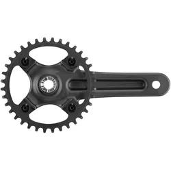 Campagnolo Kettenradgarnitur Ekar GT 13s 36 Zähne 170 mm schwarz