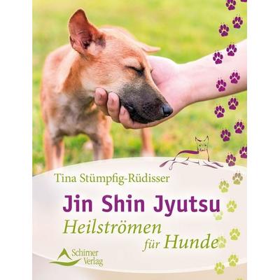 Jin Shin Jyutsu, Taschenbuch von Tina Stümpfig-Rüdisser, Schirner, 978-3-8434-1256-8