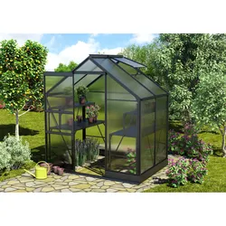 Vitavia Gewächshaus "Apollo 2500",schwarz,2,5 m2