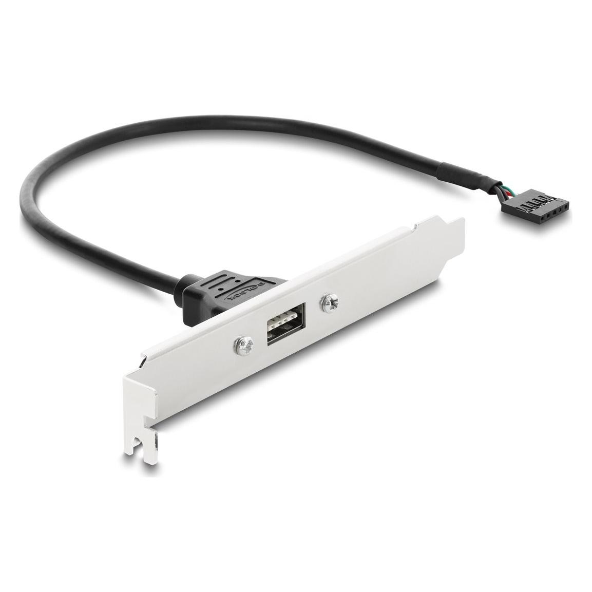 Delock USB 2.0 Slotblech mit 1 x EASY USB Typ-A Port (91799)