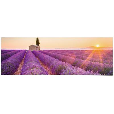 Poster REINDERS "Lavendel Horizont", lila (farbe bild(er): lila), B:158cm H:53cm, Papier, Bilder, Poster