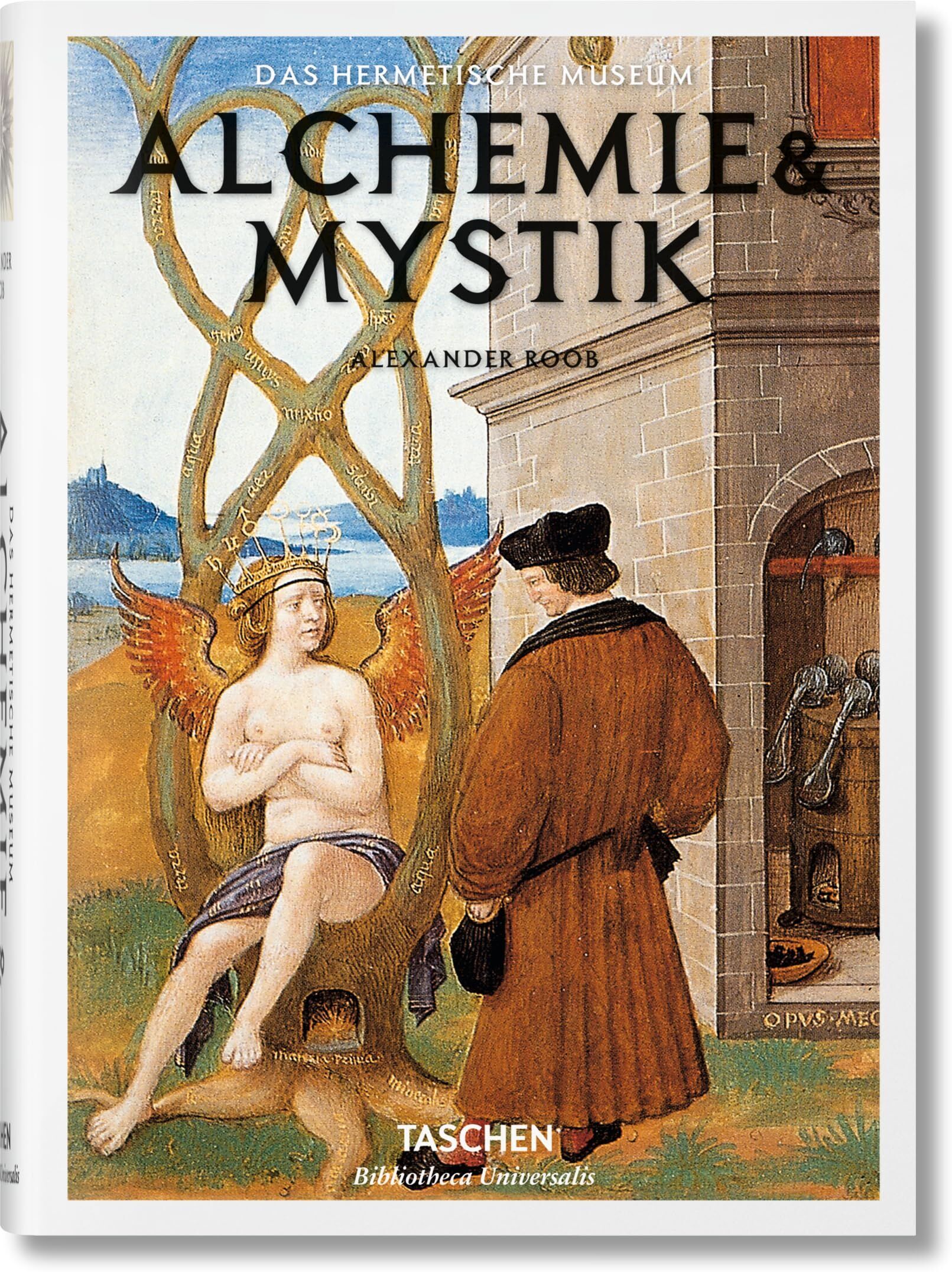 Alexander Roob - Alchemie & Mystik - Preis vom 30.09.2026 22:30:23 h