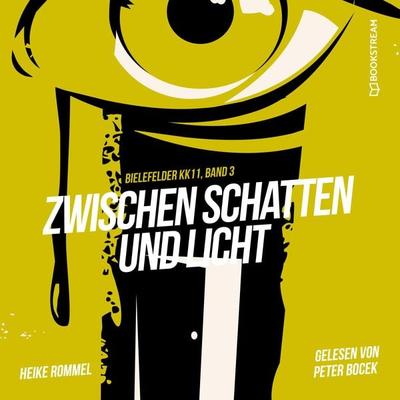 Zwischen Schatten und Licht - Heike Rommel, Audio, 9783991358299