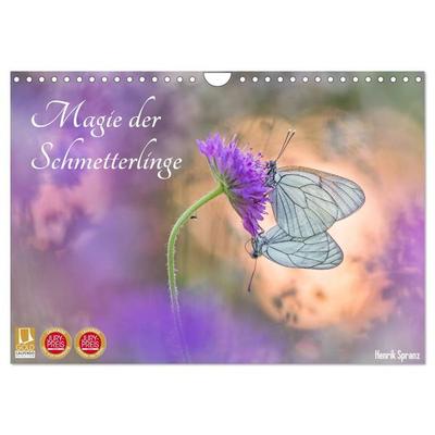 Magie der Schmetterlinge (Wandkalender 2026 DIN A4 quer), CALVENDO Monatskalender