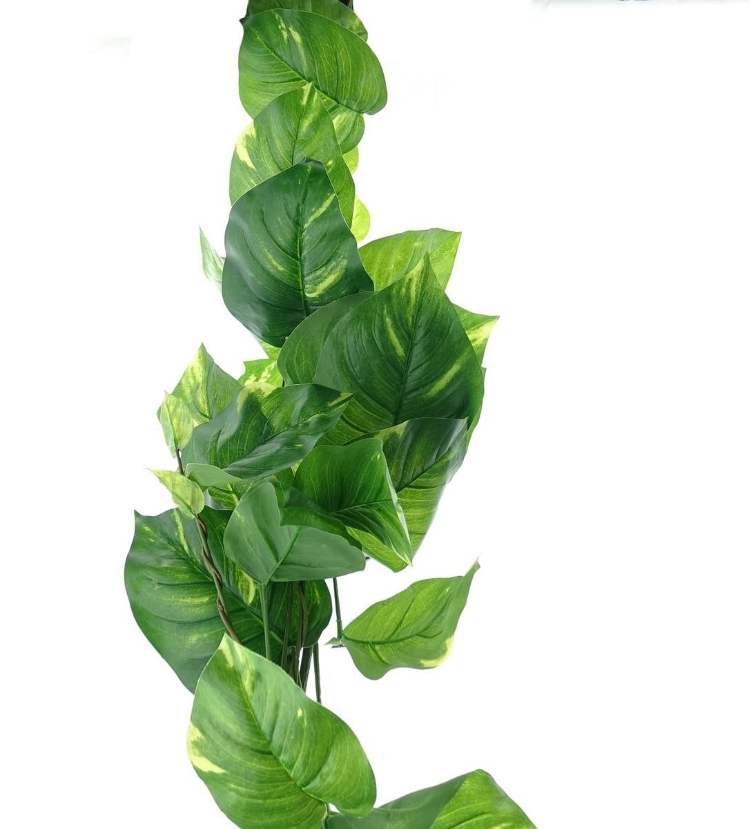 DPI Pothos Epipremnum Rank Kunstplant Groen & Geel 110 cm