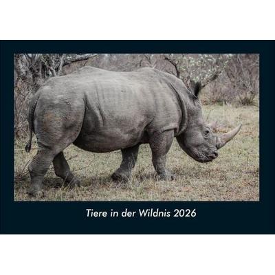 Tiere in der Wildnis 2026 Fotokalender DIN A4