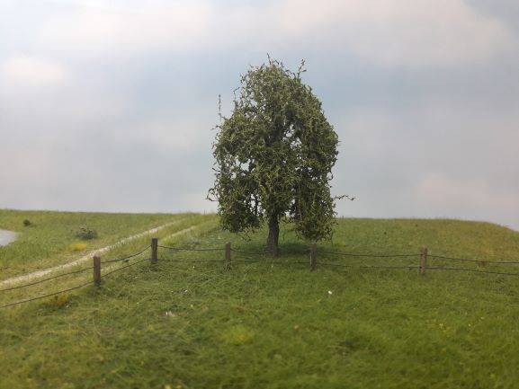 Silhouette 240-42