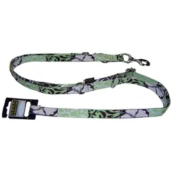 Arka Jasmin (Hund, Allgemein, Spazieren), Halsband + Leine