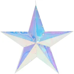 Home&Styling, Weihnachtsbeleuchtung, Weihnachtsstern Regenbogen mit 40 LEDs, kaltweiss, 52 x 14 x 51 cm