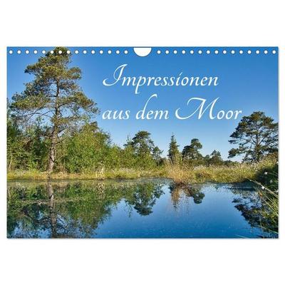 Impressionen aus dem Moor (Wandkalender 2027 DIN A4 quer), CALVENDO Monatskalender