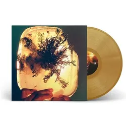 Mexican Summer, Schallplatten, fata morgana (L'Rain)