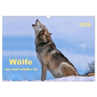 Wölfe - sie sind wieder da (Wandkalender 2026 DIN A3 quer), CALVENDO Monatskalender