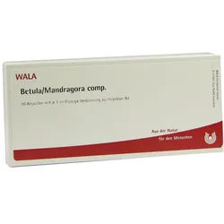 Betula/mandragora Comp.ampullen 10X1 ml