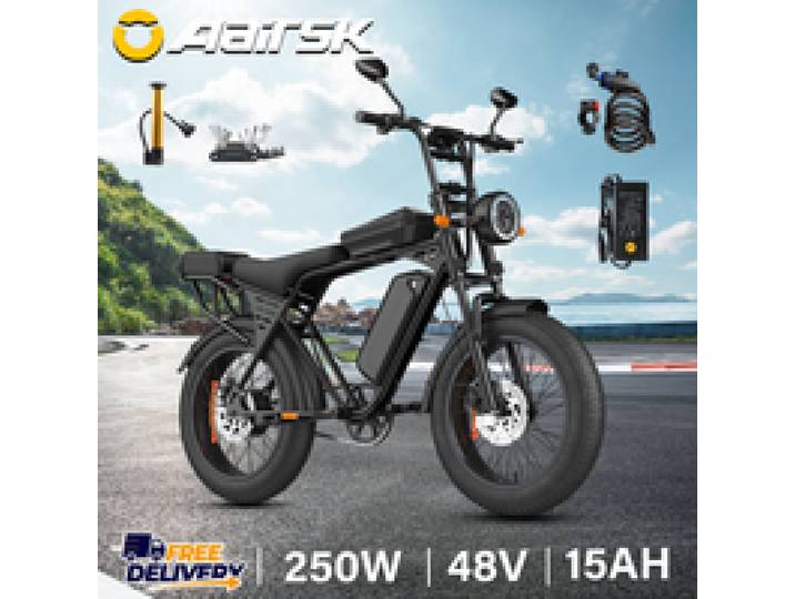 X5 E-bike 250W motor 48V15AH uitneembare accu elektrische fiets dubbele schijfrem 20*4 inch all-terrain vetband stads elektrische fiets