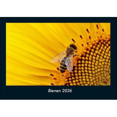Bienen 2026 Fotokalender DIN A4