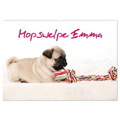 Mopswelpe Emma (Wandkalender 2026 DIN A2 quer), CALVENDO Monatskalender