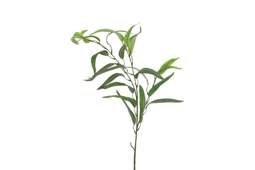Countryfield zijden tak Eucalyptus groen 90 cm