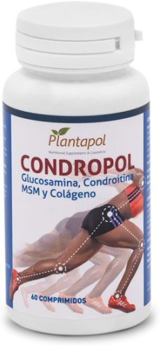 PlantaPol Glucosamine Msm Condr Collagen 60 Tablets