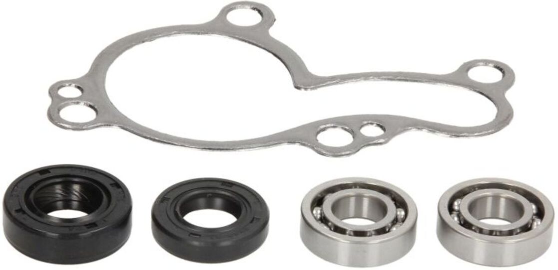 Reparatursatz, Wasserpumpe HOT RODS WPK0037