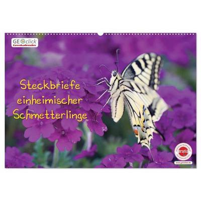 GEOclick Lernkalender: Steckbriefe einheimischer Schmetterlinge (Wandkalender 2027 DIN A2 quer), CALVENDO Monatskalender