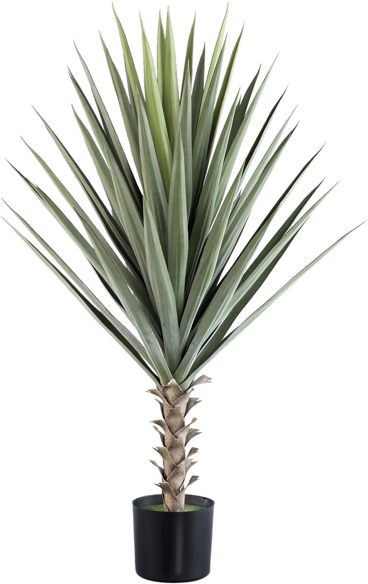 PTMD Yucca plant met groene bladeren in zwarte pot