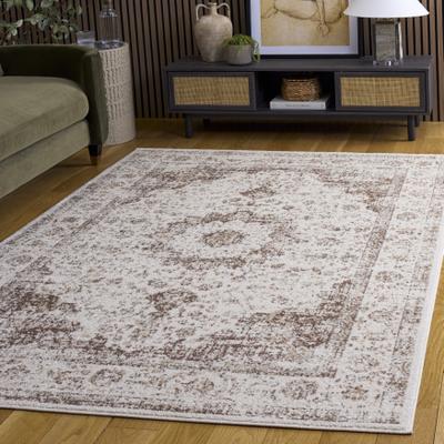 SAFAVIEH Evoke Annabel Vintage Shabby Chic Oriental Rug