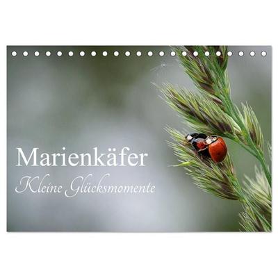 Marienkäfer - kleine Glücksmomente (Tischkalender 2027 DIN A5 quer), CALVENDO Monatskalender