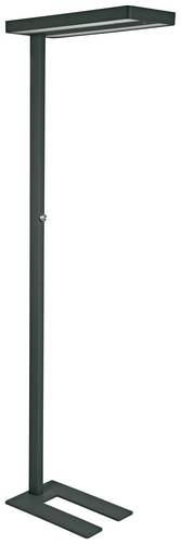 Maul MAULjuvis 8258690 LED-Stehlampe mit Bewegungsmelder LED LED fest eingebaut 64W Schwarz