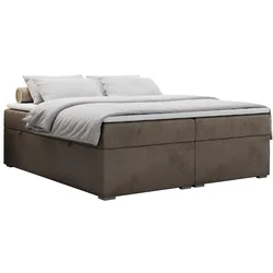 BOXBETT BESS 140/200 Braun Velvet - H4