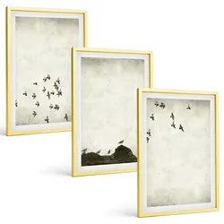 BILDER SET 3er Set - 40x60 cm Goldrahmen - Vögel im Flug, minimalistischer Stil