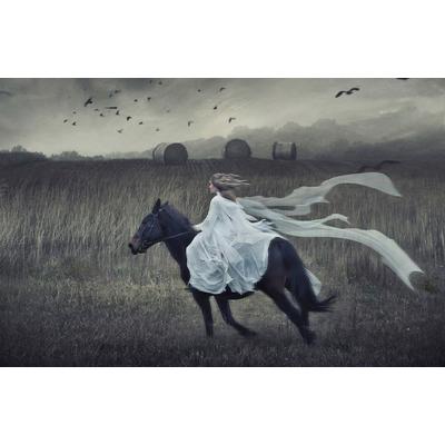 Papermoon "PFERD IM GALLOP-TIER ROMANTISCH SCHÖNHEIT STIMMUNG XXL"