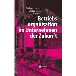 Betriebsorganisation im Unternehmen der Zukunft, Fachbücher von Volker Stich, Holger Luczak
