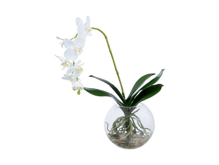 My Home Künstliche Orchidee im Glas
