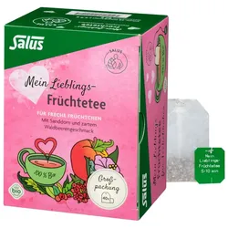 Salus Mein Lieblings-Früchte-Tee 40 St Filterbeutel