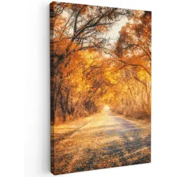 LEINWANDBILD Wald - Herbst - Bäume - Waldweg - Natur Wanddeko 40x60 cm