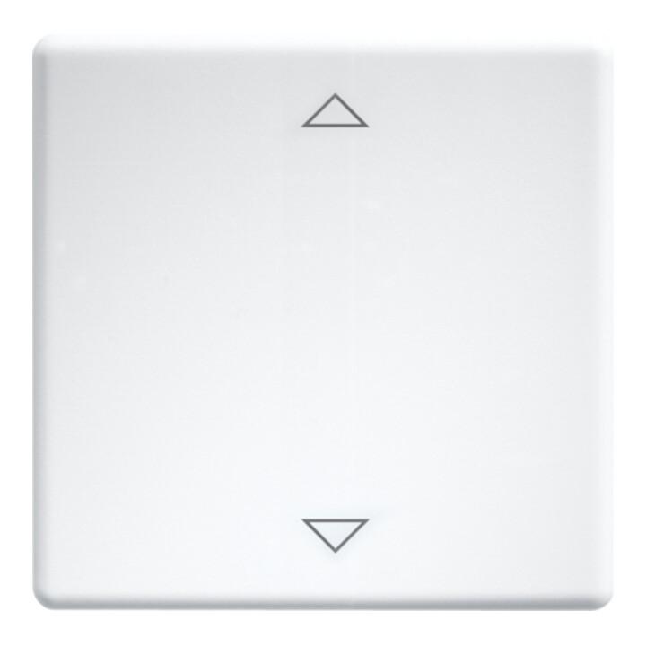 Eltako Wippe lasergraviert f.55x55mm rws W-FT55-wg+2P (30000981)