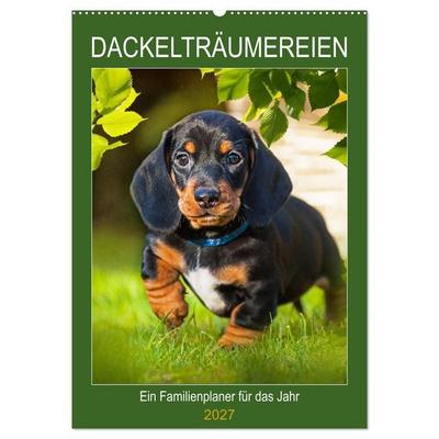 Dackelträume - Ein Familienplaner für das Jahr (Wandkalender 2027 DIN A2 hoch), CALVENDO Monatskalender