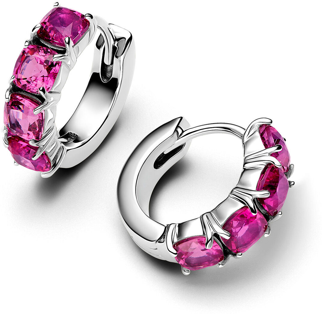 Pandora Timeless örhängen 293851C02