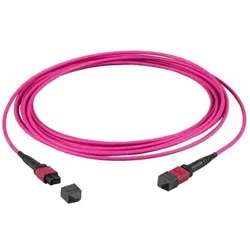 EFB Elektronik MTP¬-F/MTP¬-F 48-Fasermatrix Patchkabel OM4 LSZH erika-violett, Code A, 15m (15 m), Netzwerkkabel