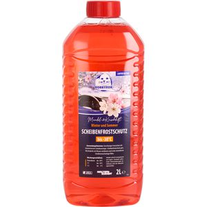 Robbyrob Scheibenfrostschutz 3002200000, bis -30°C, Kirsch-Mandel Duft, 2 Liter
