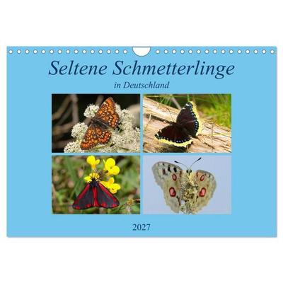 Seltene Schmetterlinge in Deutschland (Wandkalender 2027 DIN A4 quer), CALVENDO Monatskalender