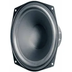 Visaton HiFi-Tieftöner WS 20 E, 4 Ohm, Lautsprecher Bauteile, Schwarz