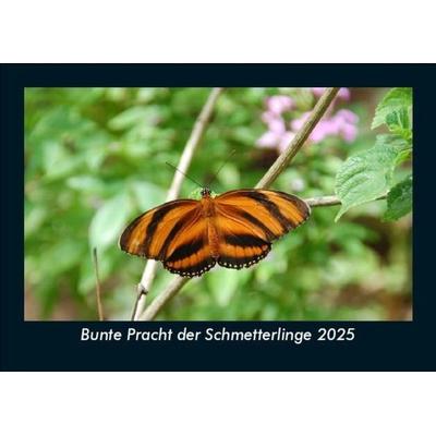 Bunte Pracht der Schmetterlinge 2025 Fotokalender DIN A5