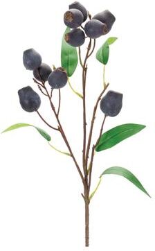 Melrose International Plum Pod Spray (Set of 6)