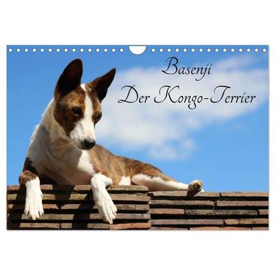 Basenji, der Kongo-Terrier (Wandkalender 2027 DIN A4 quer), CALVENDO Monatskalender