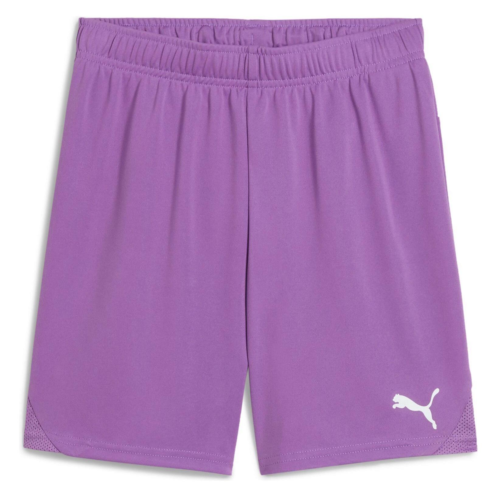 Puma teamGOAL Shorts Jr (128) (705753)