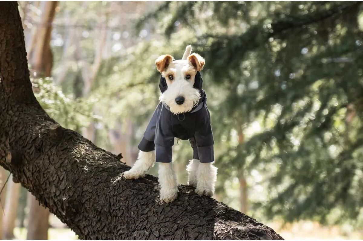 INF Hunde Regenmantel mit Rückenöffnung: Wasserdichte & Winddichte Vollschutzjacke für Haustiere S
